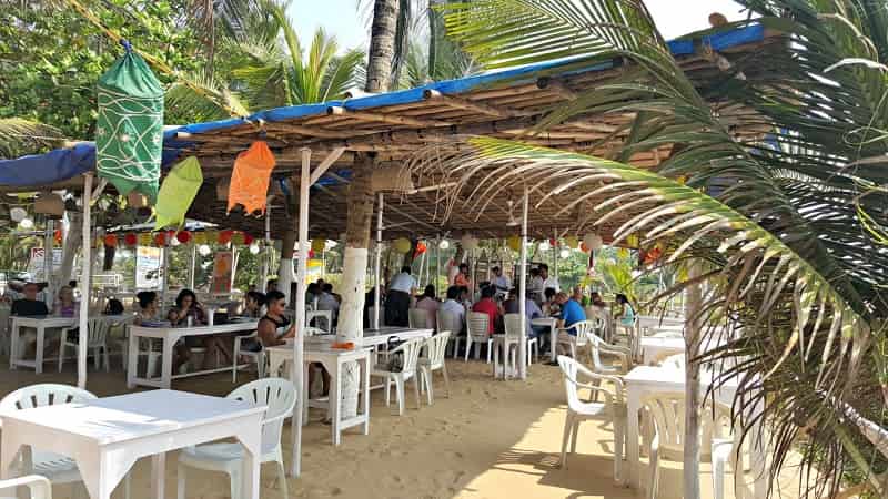 Zeebop, Goa