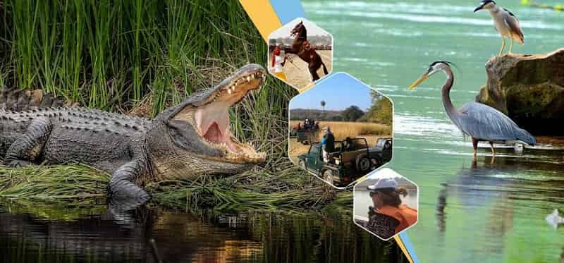 National Chambal Wildlife Sanctuary