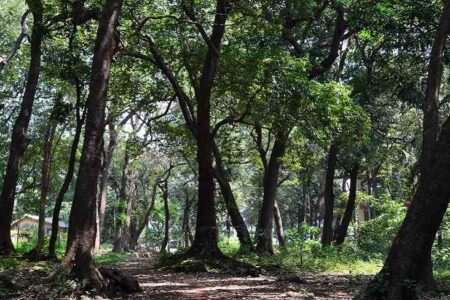 Ryewood Park, Lonavala