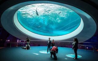 Miami Science Museum