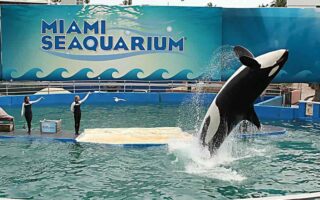 Miami Seaquarium
