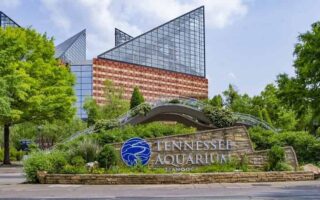 Tennessee Aquarium Chattanoogan