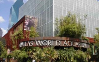Dallas World Aquarium