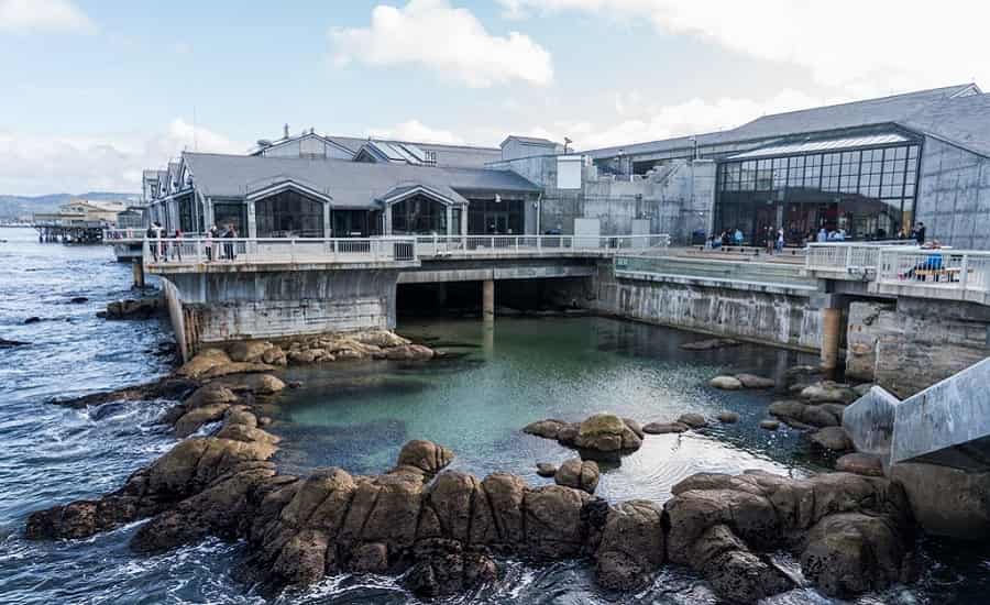 Monterey Bay Aquarium