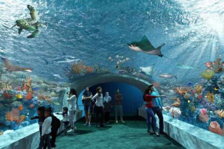 Shedd Aquarium, Chicago