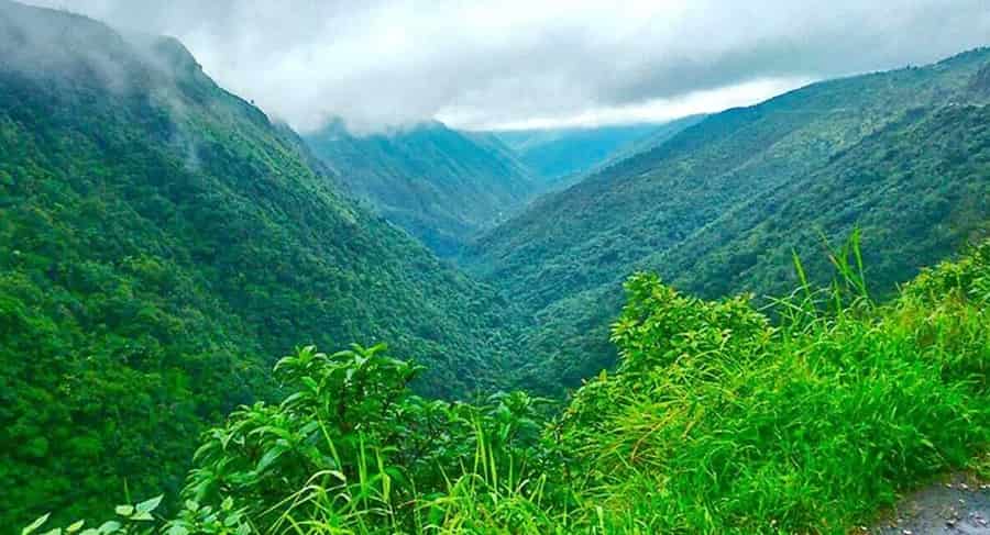 Green Valley in Shimla